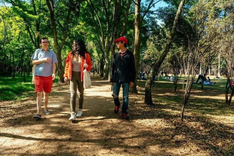 private-tour-mexico-city-best-rated