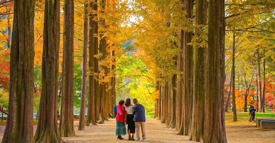 private-tour-nami-islandmorning-calm-gardenpetite-france