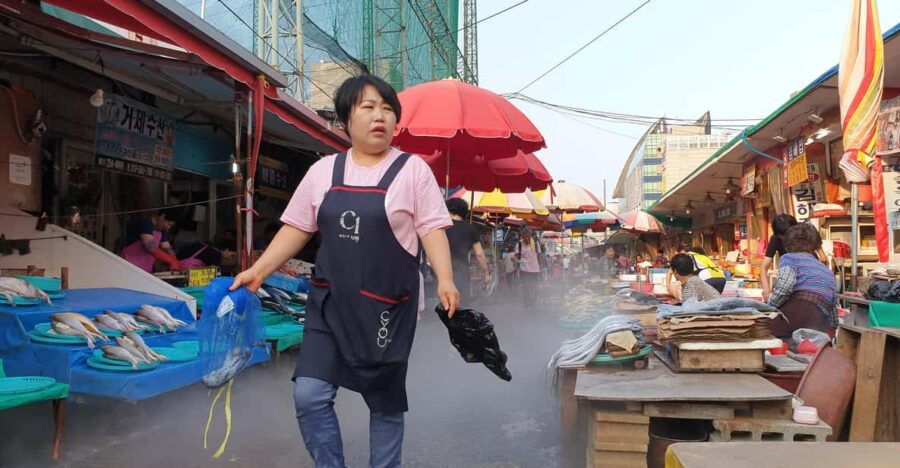 private-tour-to-busan-the-marseille-of-korea