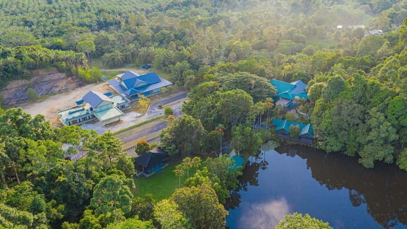 rainforest-tour-labuk-bay-sun-bear-sepilok-sandakan