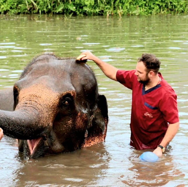 rantong-elephant-sanctuary-chiangmai