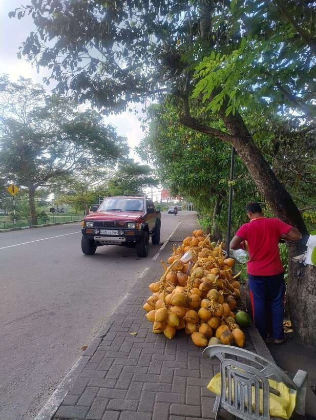 real-essence-of-colombo-sightseeing-cultural-exposure