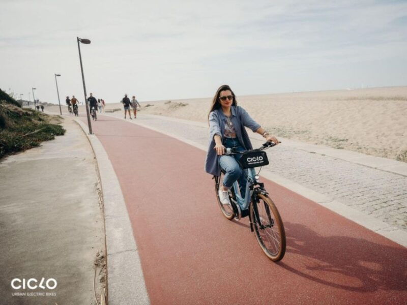 rent-an-electric-bike-with-bosch-motor-3