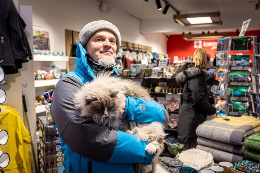 reykjavik-feline-focused-city-walking-tour