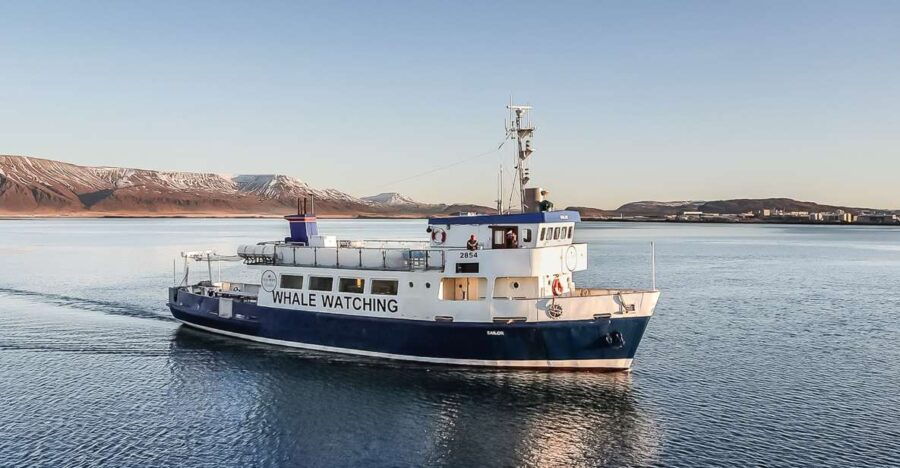 reykjavik-whale-watching-and-marine-life-cruise