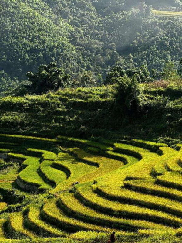 sa-pa-trekking-2d-1n-with-lalas-family
