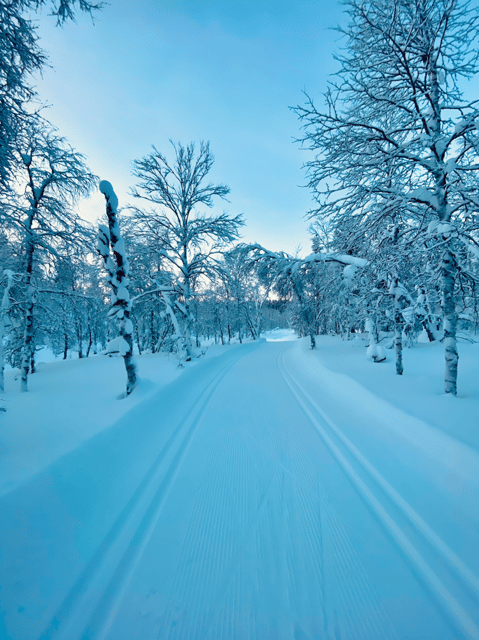 saariselka-cross-country-skiing-for-beginners