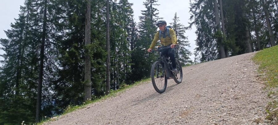 salzkammergut-guided-e-bike-tour-to-the-alpine-pastures-in-gosau-and-hallstatt