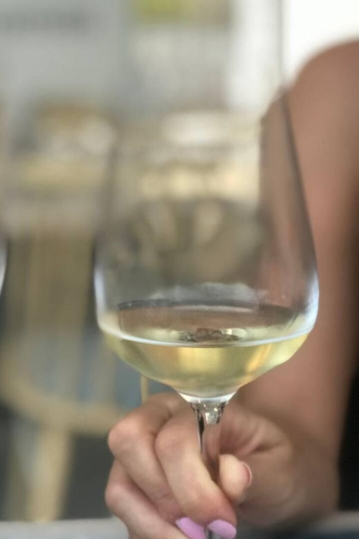 santorini-fun-wine-tour-visit-2-wineries-transfers-included