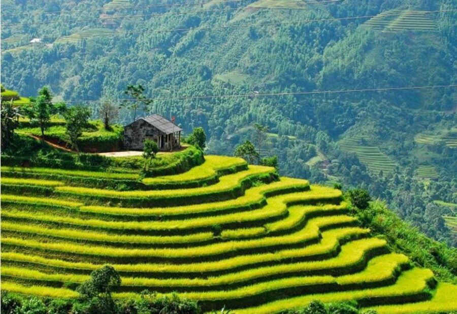 sapa-guided-full-day-trekking-muong-hoa-valley-with-lunch