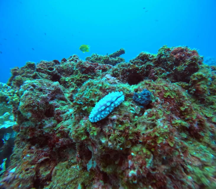 scuba-diving-trip-by-boat-to-the-beloved-spots-near-phuket