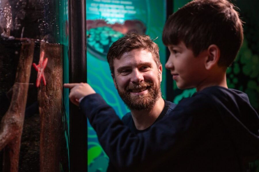 sea-life-london-dreamworks-shreks-adventure-combo-ticket