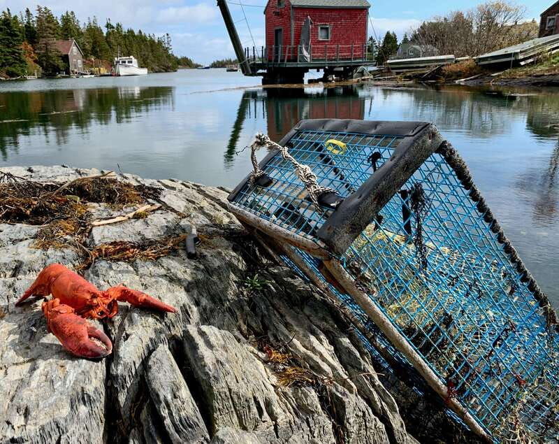 seaweed-tours-lunenburg-n-s-can-unesco-world-heritage-site