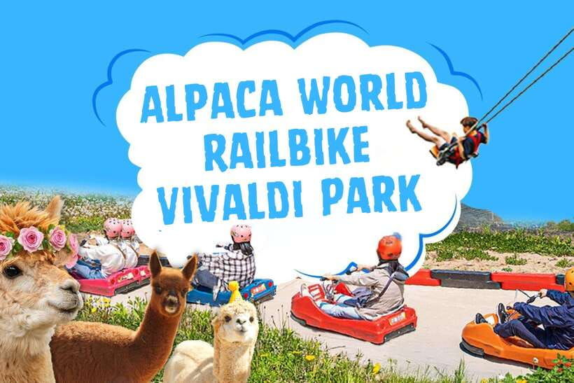 seoul-alpaca-world-railbike-vivaldi-park-experience-tour