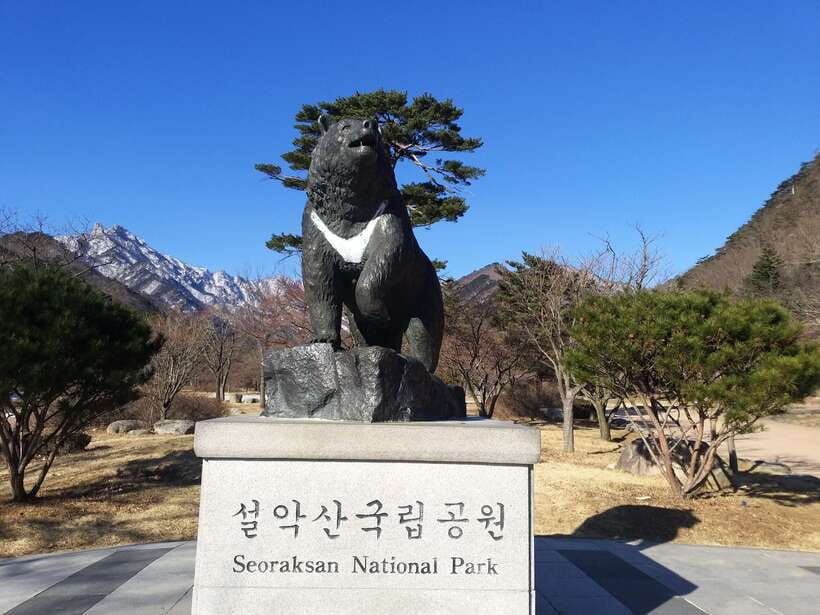 seoul-mt-seorak-nami-island-korean-garden-no-shopping