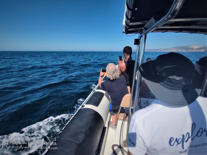 sesimbra-dolphin-watching-boat-tour-with-biologist-guide