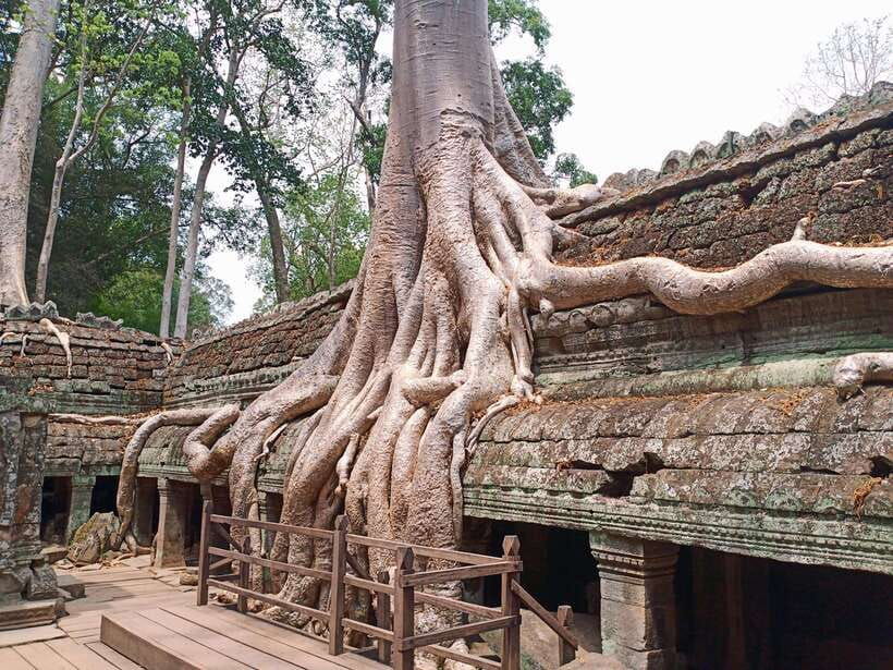 sharing-trip-to-angkor-temple-with-sunset
