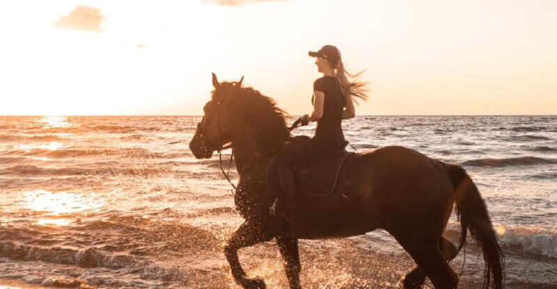 side-horseback-riding-tour-in-nature-with-transfer