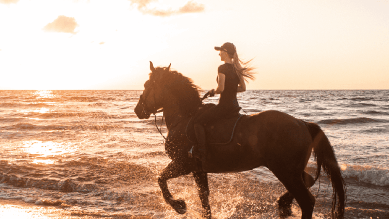 side-horseback-riding-tour-in-nature-with-transfer