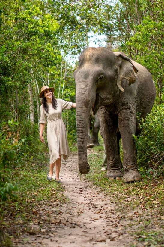 siem-reap-kulen-elephant-forest-guided-tour