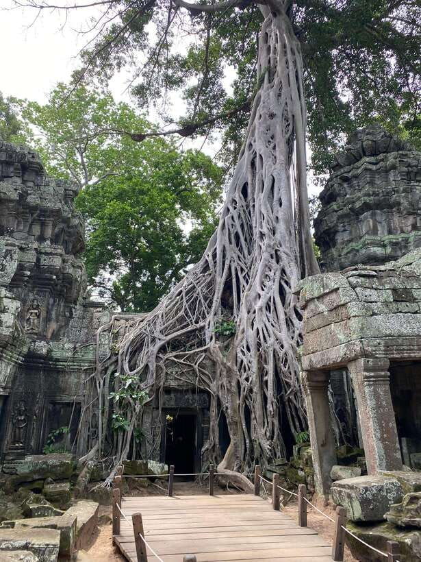 siem-reap-private-angkor-wat-off-the-beaten-track-by-jeep