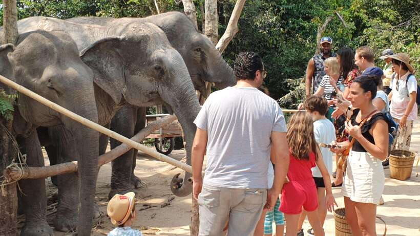 siem-reap-small-group-tour-of-kulen-elephant-forest