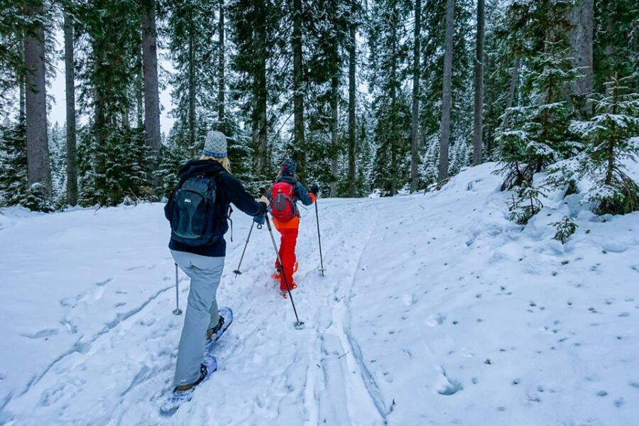 snowshoeing-in-triglav-national-park-2