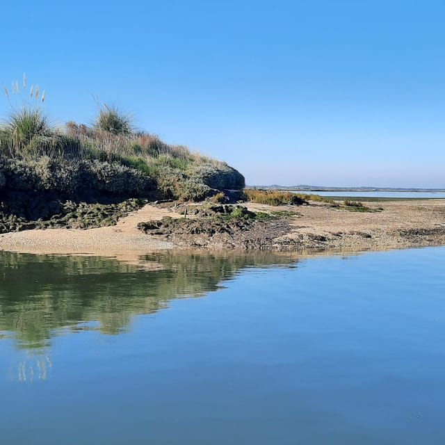 solar-boat-tour-along-the-salgado-da-ria-de-aveiro