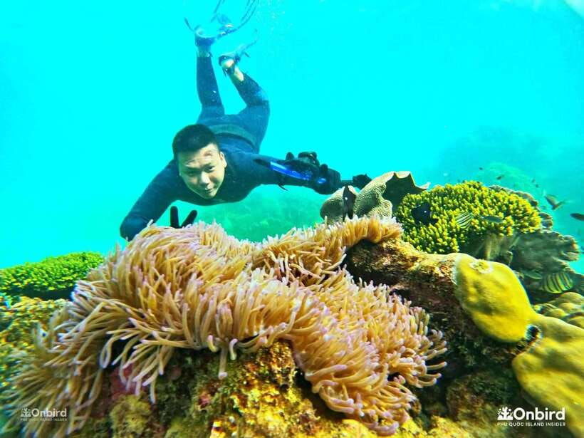 south-phu-quoc-3-4-hours-private-snorkeling-trip