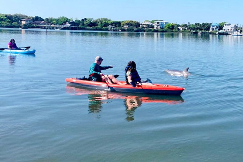 st-augustine-dolphin-and-manatee-paddle-or-kayak-tour