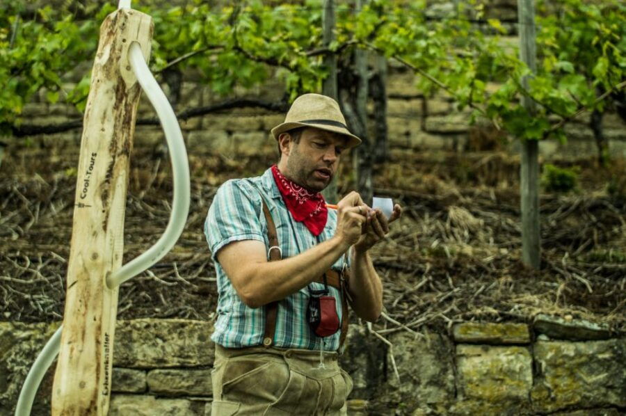 stuttgart-guided-vineyards-tour