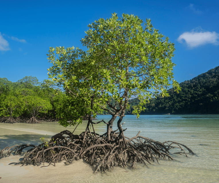 subic-inflatable-island-from-manila-and-subic-transfer