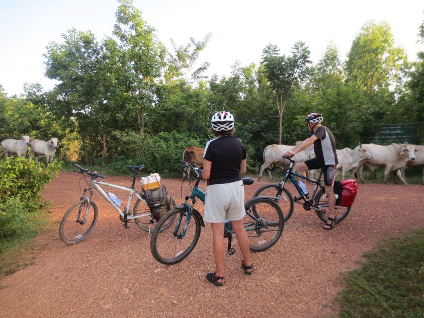 sukhothai-historical-park-countryside-cycling-tour