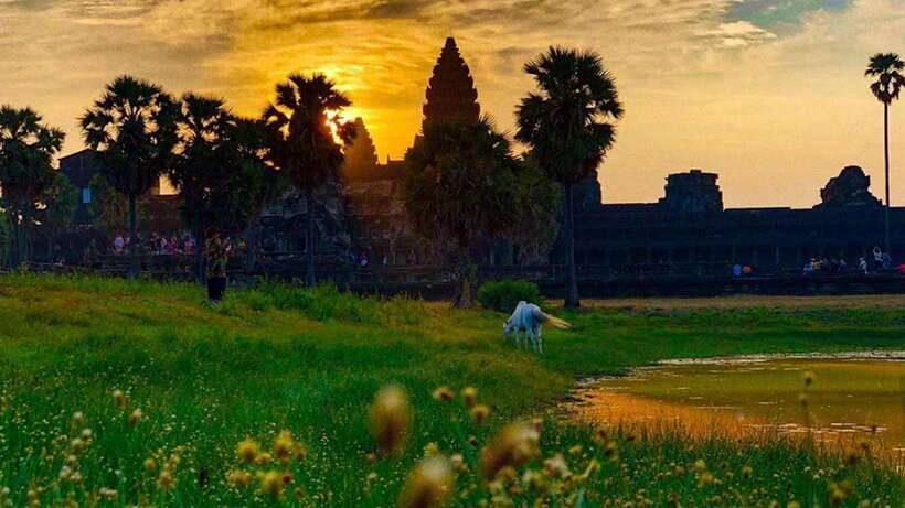 sunrise-cycling-of-angkor-wat-temple
