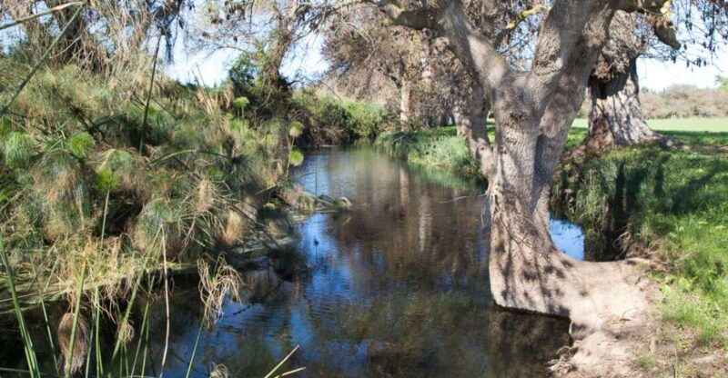 syracuse-ciane-river-nature-reserve-guided-trek