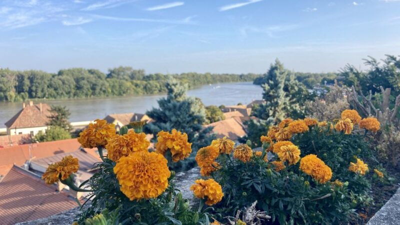 szentendre-arts-and-cafes-tour-half-day-private-tour