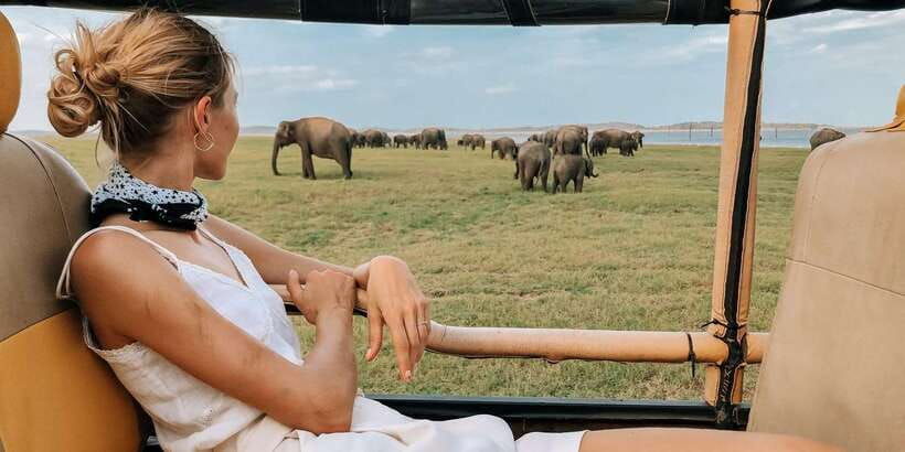 tangalle-hiriketiya-udawalawa-safari-elephant-orphanage