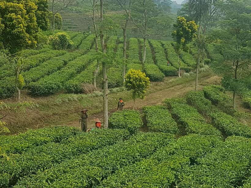 the-breathtaking-views-of-the-countryside-in-bandung