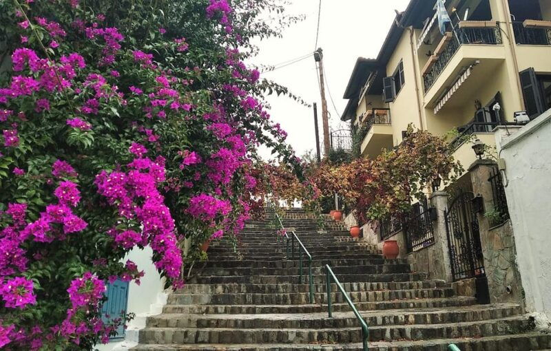 thessaloniki-old-town-walking-tour-nature-culture-herbs