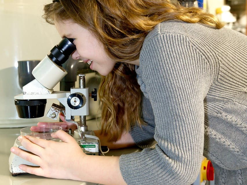 timmendorfer-strand-sea-life-behind-the-scenes-tour