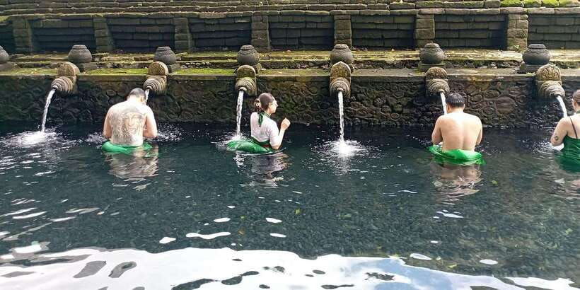 tirta-empul-highlights-tour-with-cleansing-rice-terrace