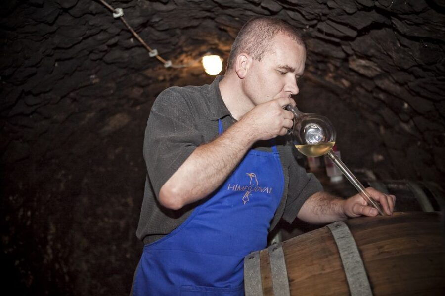 tokaj-vineyard-tour-tasting
