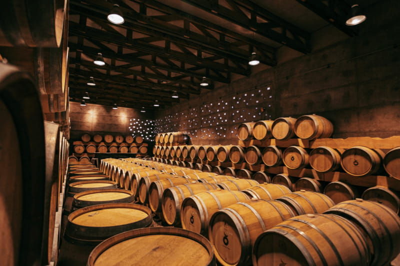 tour-and-wine-tasting-in-cuna-de-tierra