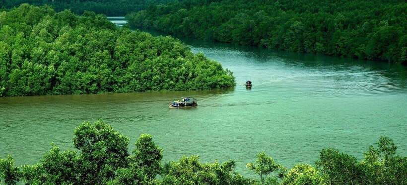 tp-hcm-explore-can-gio-mangrove-and-monkey-island