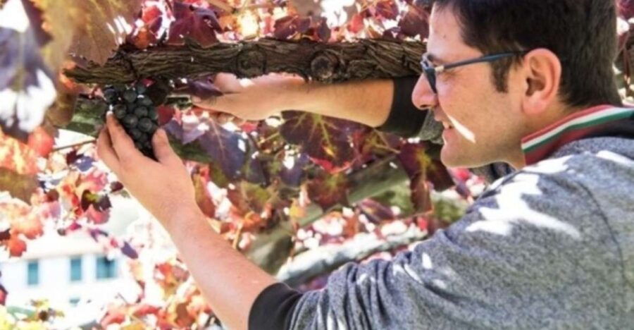 tramonti-vineyard-winery-tour-with-tasting-appetizers