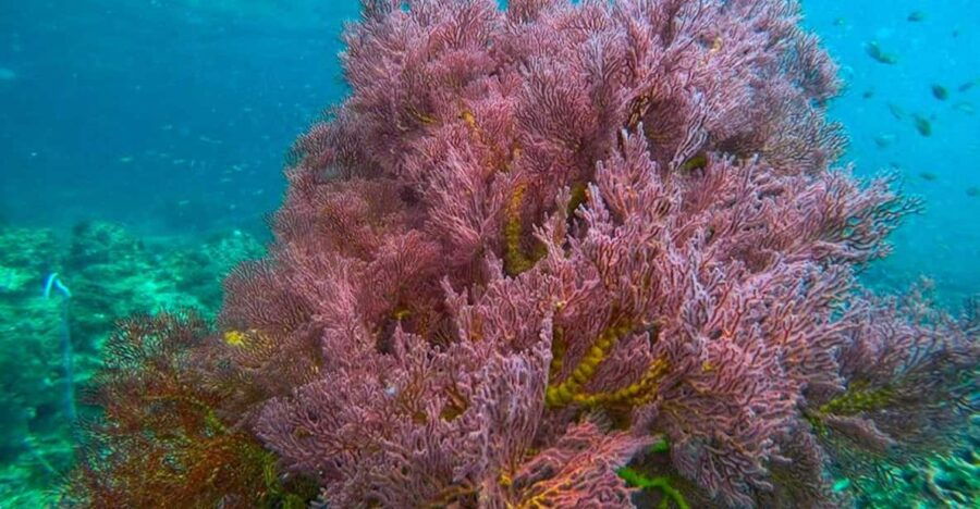 trang-emerald-cave-kradan-chueak-snorkeling-boat-trip