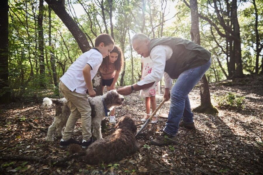 truffle-hunting-in-the-hills-of-tuscany