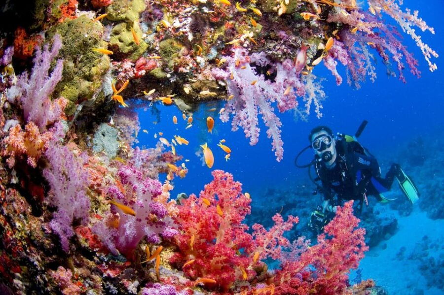 try-scuba-diving-in-racha-yai-noi-3-dives-for-non-certified