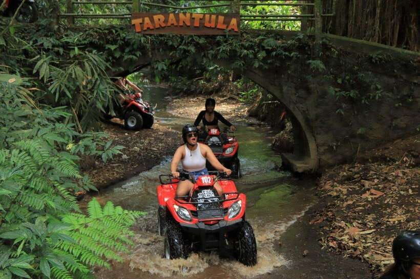 ubud-atv-quad-bike-adventures