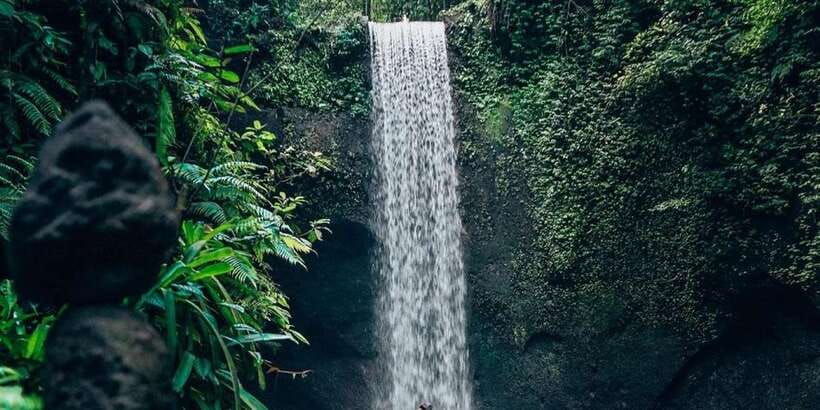 ubud-best-of-waterfall-tour-and-rice-terrace